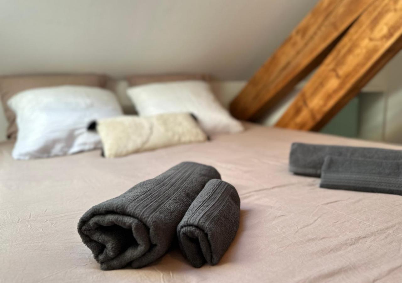 Duplex Loft - Central & Home Cinema Annecy Zewnętrze zdjęcie
